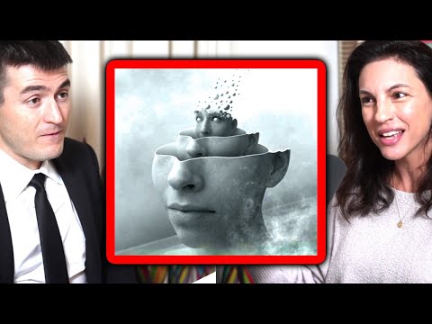 The self is an illusion | Annaka Harris and Lex Fridman