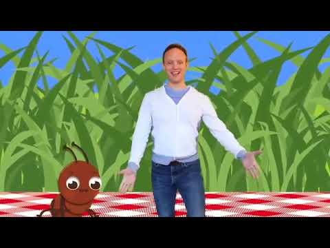 Three Hungry Ants (Music by Aron Accurso) | SONGS FOR LITTLES