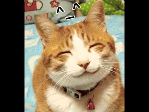 Halo Friendlies Unhappy Trails.wmv