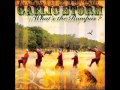 Gaelic Storm - Don't Let The Truth Get In The Way Of A Good Story