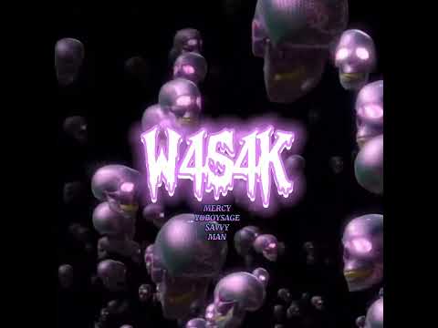 WASAK FT. 404 (Visualizer)