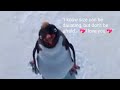 Ramón Carrying Happy Feet For 2 Minutes And 29 Seconds