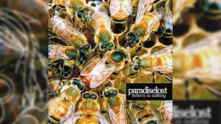 Paradise Lost - I Am Nothing (1 Hour)