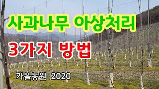 아상처리  사과나무가지받기  사과나무아상처리