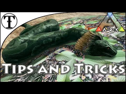 Fast Titanoboa Taming Guide :: Ark : Survival Evolved Tips and Tricks
