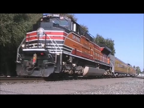 Union Pacific's Operation Lifesaver Special | Chico, CA Sep 2010 - UP1983, 1996