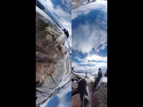 This 360° tour of Antarctica