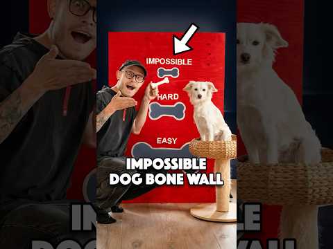 🤯 CRAZIEST IMPOSSIBLE SHOT WITH DOG 🐶 #trickshots #dog #impossible #dudeperfect