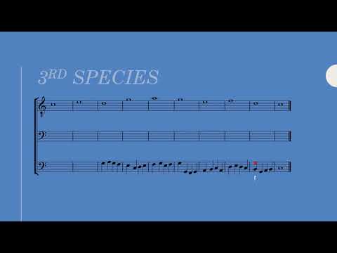 3-Part Counterpoint: 3rd Species