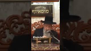 ✨הרב בן ציון מוצפי✨ נטילת ידיים שחרית (בית הכנסת מוסאיוף - ערוץ חדש) - התמונה מוצגת ישירות מתוך אתר האינטרנט יוטיוב. זכויות היוצרים בתמונה שייכות ליוצרה. קישור קרדיט למקור התוכן נמצא בתוך דף הסרטון