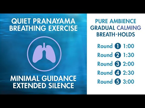 Extended Silence Pranayama - Minimal Verbal Guidance | 3 MINUTE RETENTION | Wim Hof Style Breathing