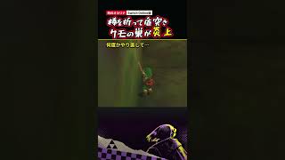 デクの棒を折って盾突きしたらクモの巣が燃えた【時のオカリナ】