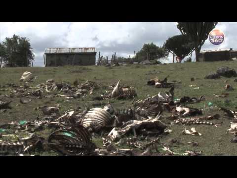 Mission 360° - Mission in Kenya