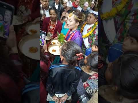 Limbu Samudaya ko bibahako jhalak