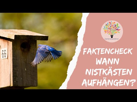 Nistkästen im Herbst: Sinnvoll oder unnötig? Der biologische Faktencheck