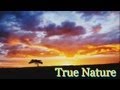 True Nature ♪ ♫ ♥ :: Prem Rawat