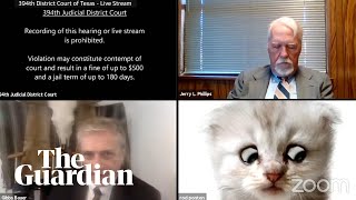 &#39;I’m not a cat&#39;: lawyer gets stuck on Zoom kitten filter during court case