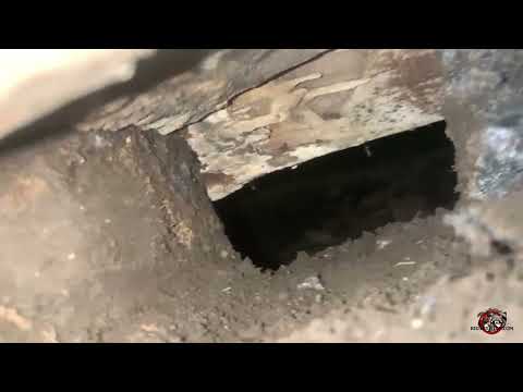 Hard-to-Find Rat Burrow into a House in Birmingham, Alabama