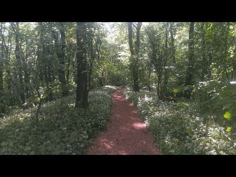 Hermannsweg - Wandern - Teutoburger Wald