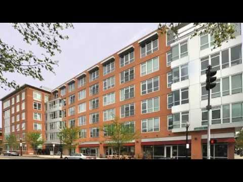 700 Harrison Avenue #506 - South End Real Estate