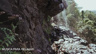 Msica para Meditar e Relaxar