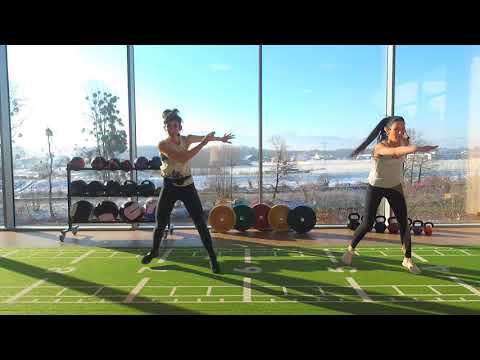 SHAPE mit Alina & Dani - ONLINE FITNESS - ONLINE KURSE