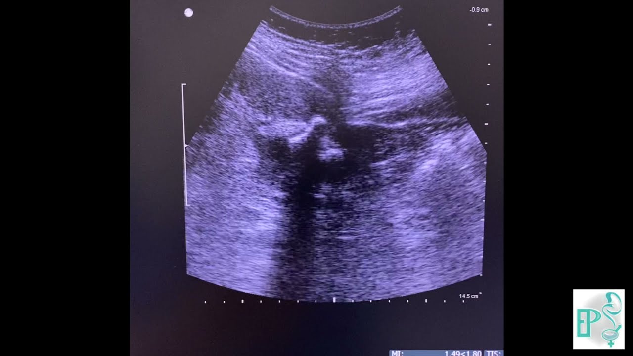 Enrique Pulido Contreras-40