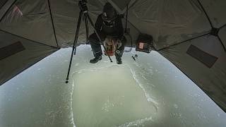 The Smallest Lake I've Ever Ice Fished?! (Sight Fishing)