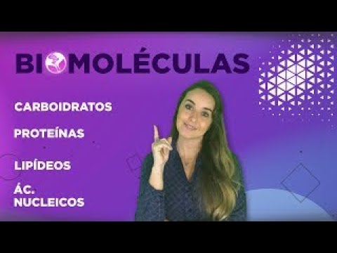 BIOMOLECULES l Prof. Louise Medeiros