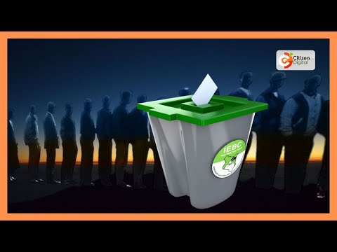 By-elections marred by bribery, intimidation and ballot breaches – Reports