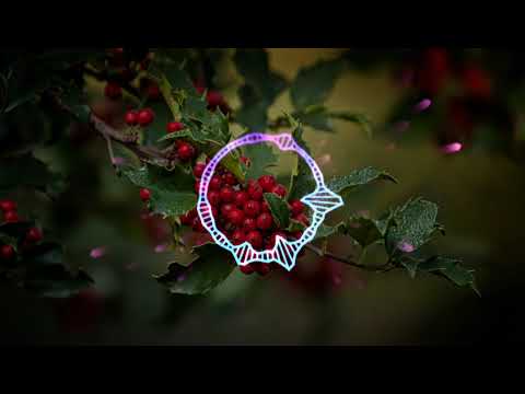 Akcent feat. Nicole Cherry - Si Me Quieres