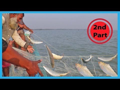 Amazing Fast Hilsa Fishing Skill- Catching Hilsa Fish Big on The Sea (PART 2)