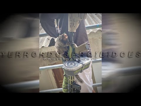 MC RKOSTTA - HOJE EU TO NO PLANTÃO [ DJ RD DO MARTINS ] LANÇAMENTO 2025