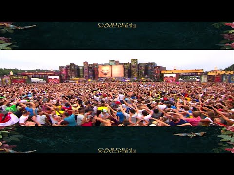 Forgot About Dre vs Nova vs Get Low vs Reckless (Edited By Cassio Fernandes) (Music Vídeo)