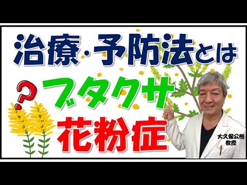 本物のブタクサ 植物