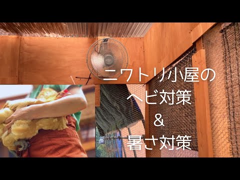 ネズミを鶏小屋から遠ざける方法 げっ歯類 卵 忌避剤 卵 シリアル