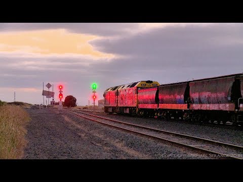 Pacific National Grain Train - PoathTV Australian Trains & Railways