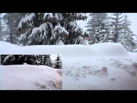 Zwitserlandchalet.nl sneeuwruimen wallis