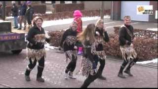 preview picture of video 'Optocht Biezenmortel carnaval 2013'