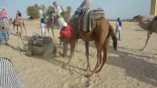 preview picture of video 'DESTINO: TÚNEZ (Subiendo a los camellos en Douz, Desierto del Sahara)'
