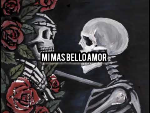 Kalako Parga // Mis muertos