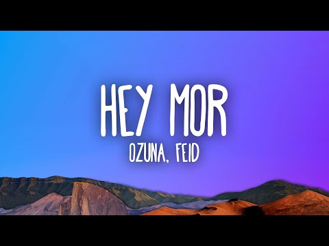 Ozuna Ft. Feid - Hey Mor