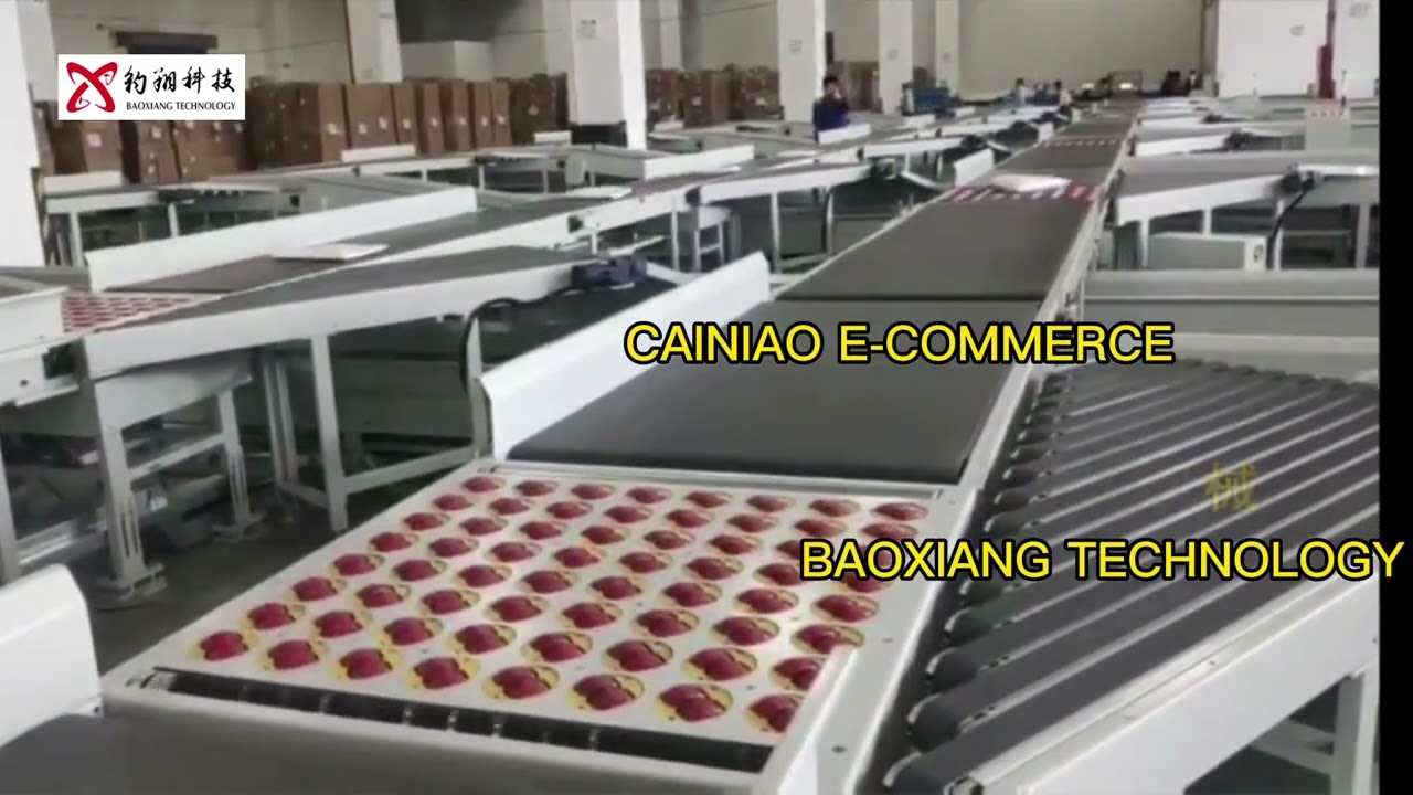 Modern Intelligent Parcel Sorting System for #Logistics #Ecommerce #Warehouse #Express