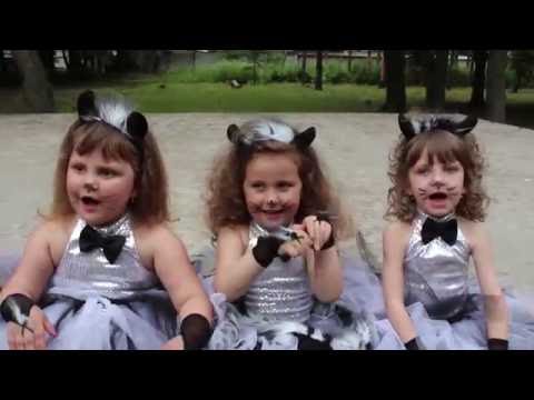 ,,Pisila"- Do-re-micii (Ungheni)