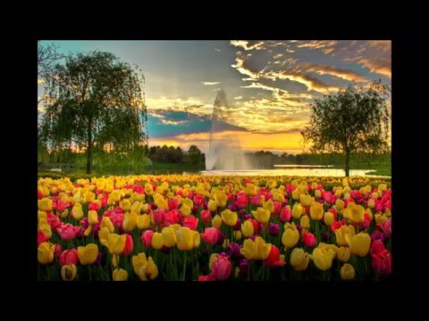 Cosmic Gate & Emma Hewitt vs. Andain - Beautiful Sound (Myon & Shane 54 Mashup)