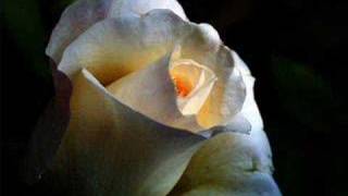 Maniacs - The White Rose (ORIGINAL VIDEO)