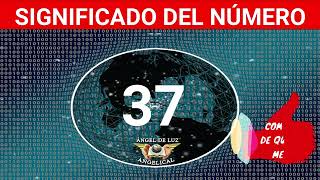 NUMEROLOGÍA🤍Significado del número 37❓ Numero 37 en lo espiritual🙏numero 37 NUMERO