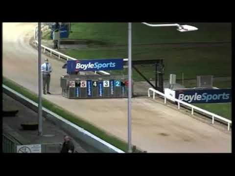 BOYLESPORTS Irish GREYHOUND DERBY 2020