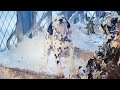 101 Dalmatians 1996 Whizzer Traps Horace And Jasper