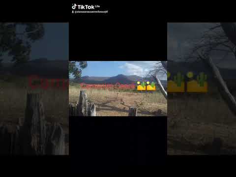 um abraço para Camocim Ceará 🏜🏜